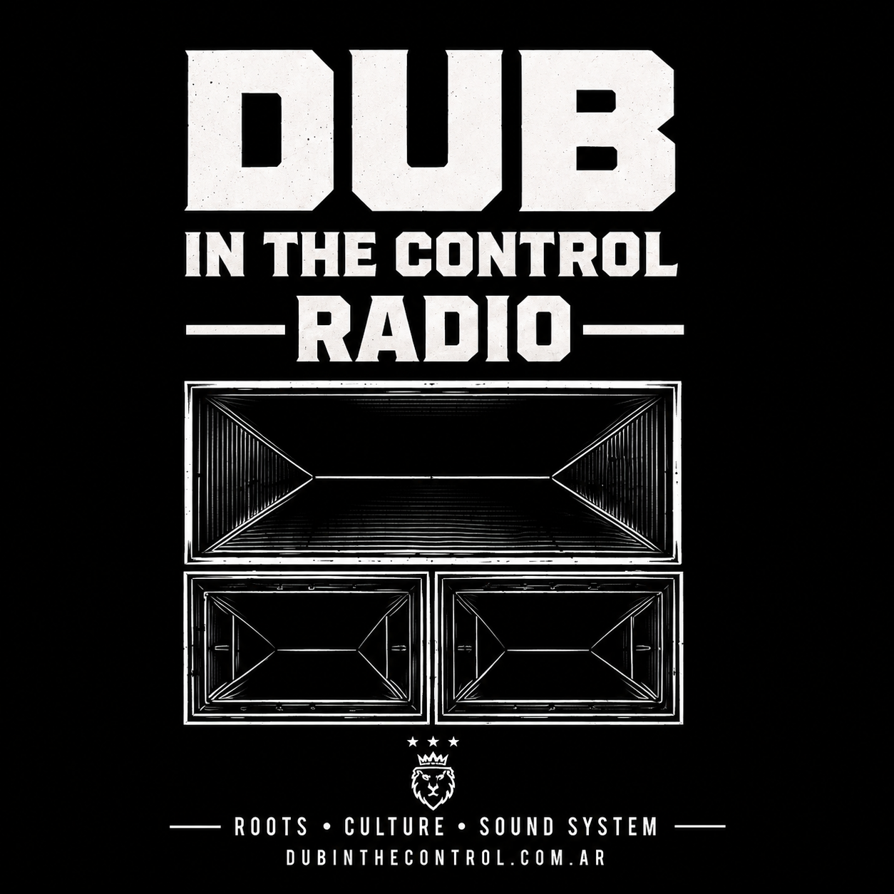 dubinthecontrol.com.ar